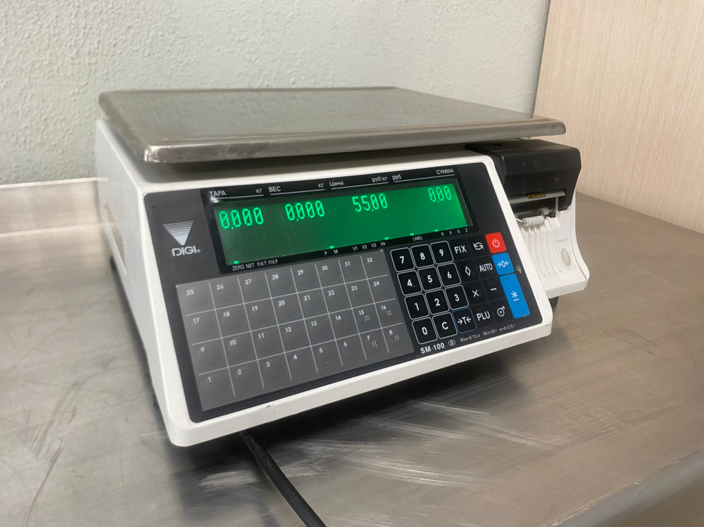 Весы DIGI SM-100S
