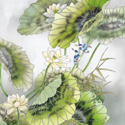 Коллекция Grafika Natura