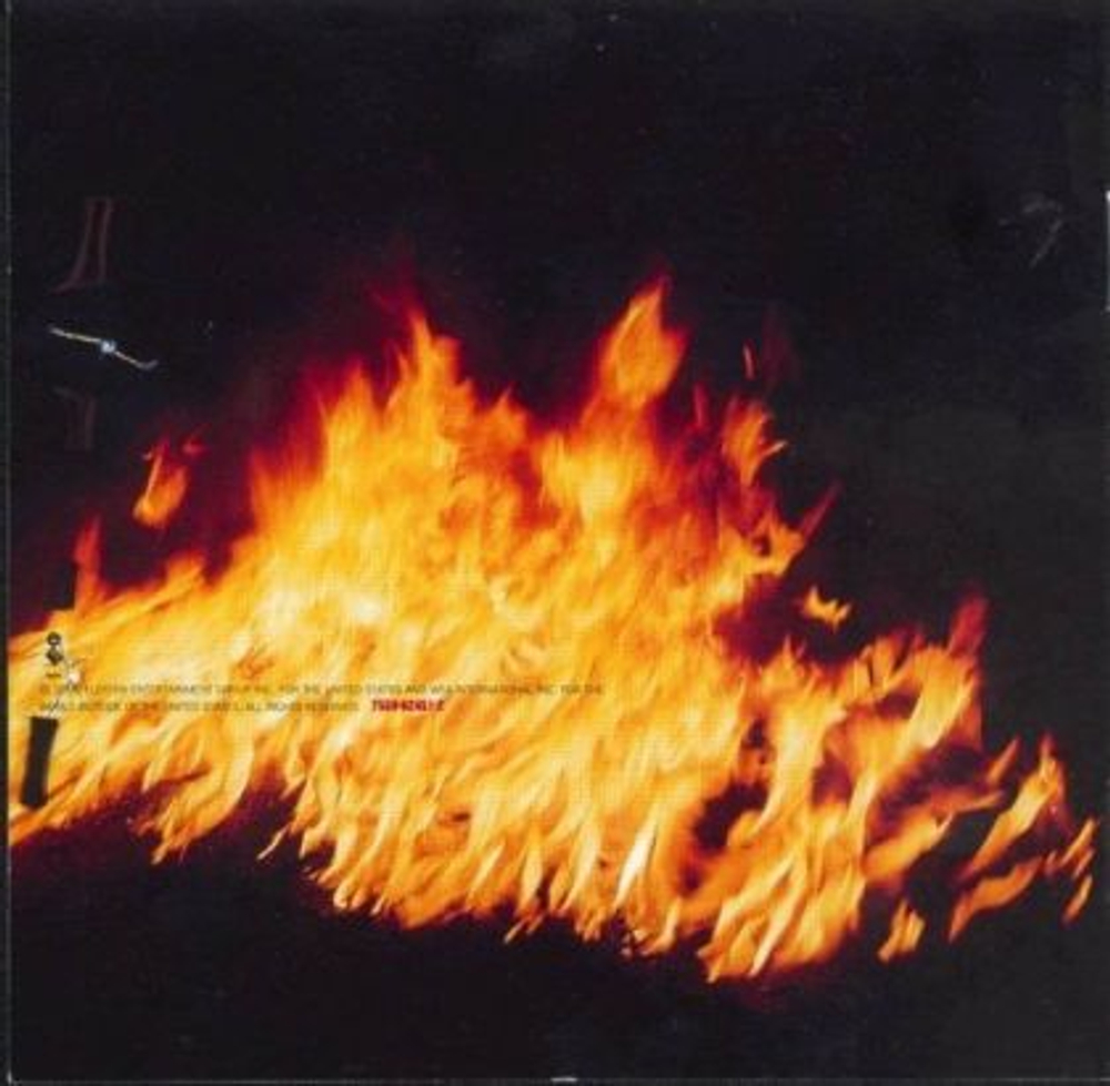 Pantera / Reinventing The Steel (LP)