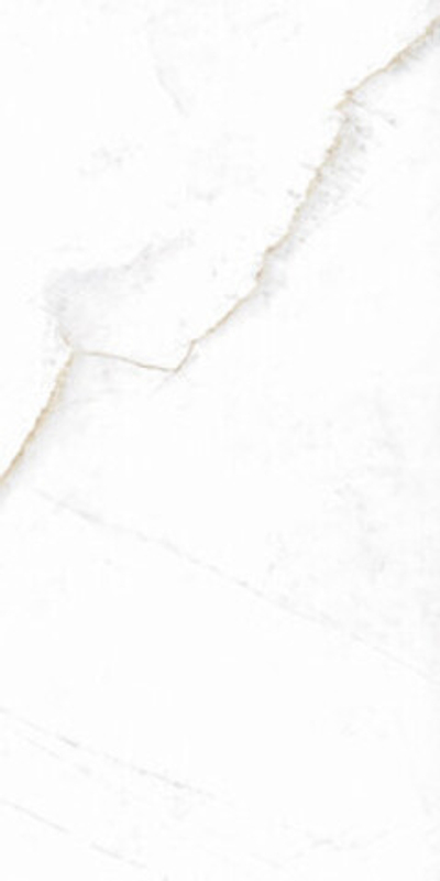 Керамогранит MUSEUM DUAL White EP