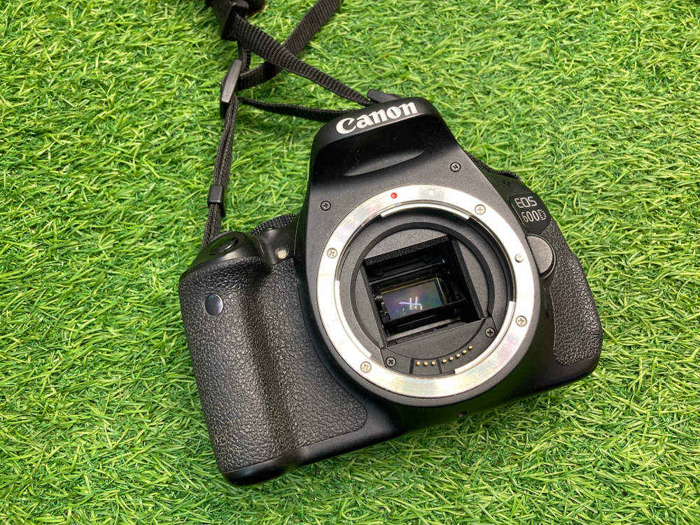 Canon EOS 600D 24.620 кадров