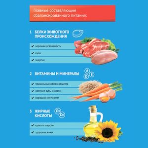 Сухой корм ProХвост для собак с ягненком