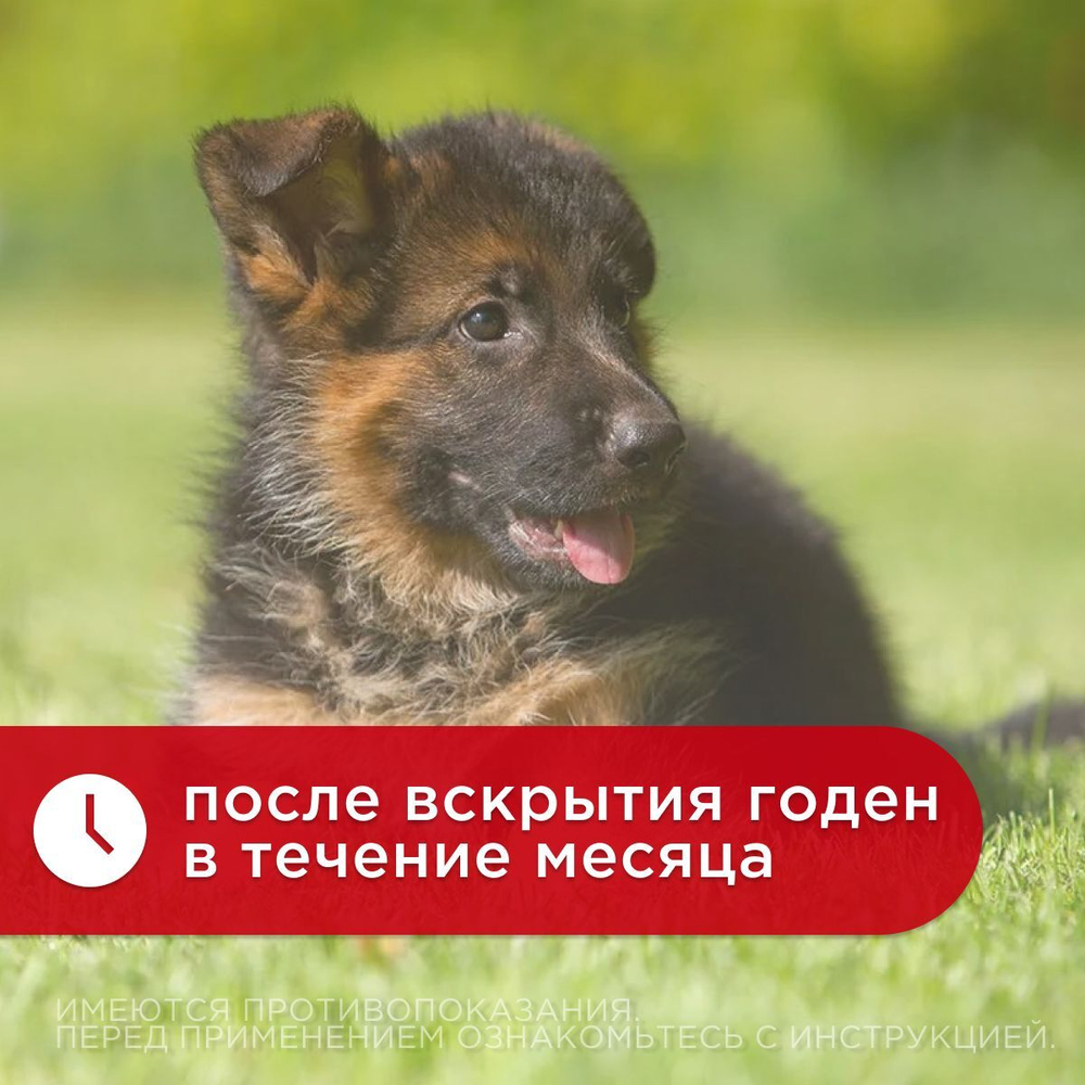 Ушные капли на основе растительных компонентов для гигиенической обработки ушей собак и кошек Отоферонол Премиум Био ( ТопВет), 10мл