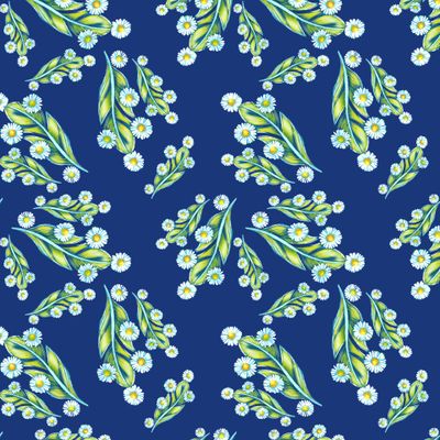 Перья и ромашки на темном синем фоне