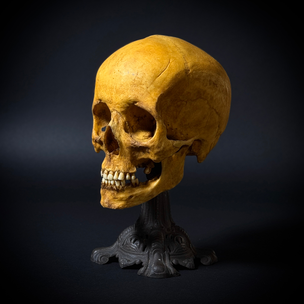 Статуэтка «Череп человека»