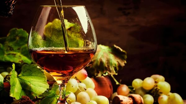 Коньяк: от урожая до бутылки — гид от Алтайского Винокура Коньяк: от урожая до бутылки — гид от Алтайского Винокура