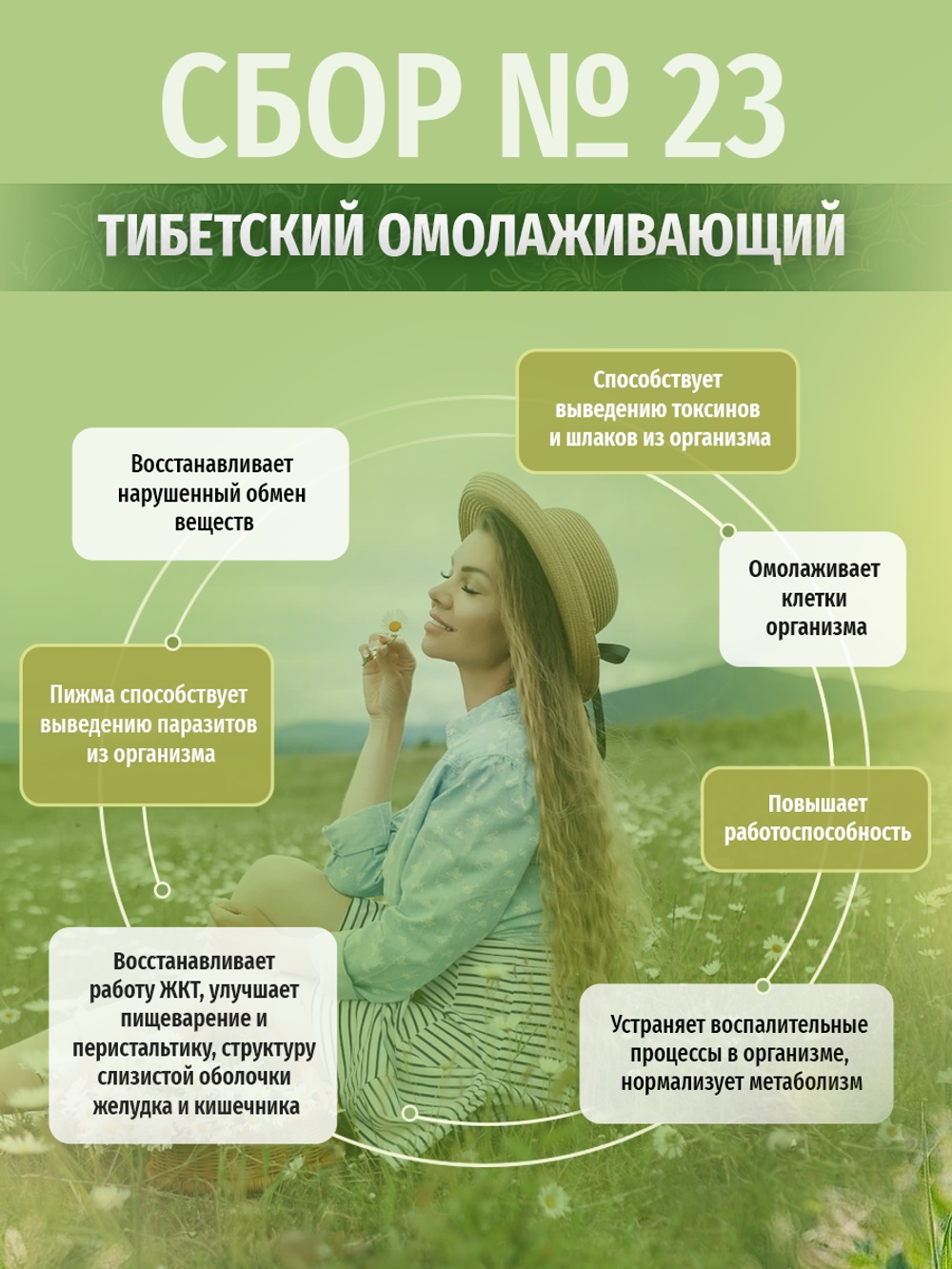 Сбор № 33 при геморрое