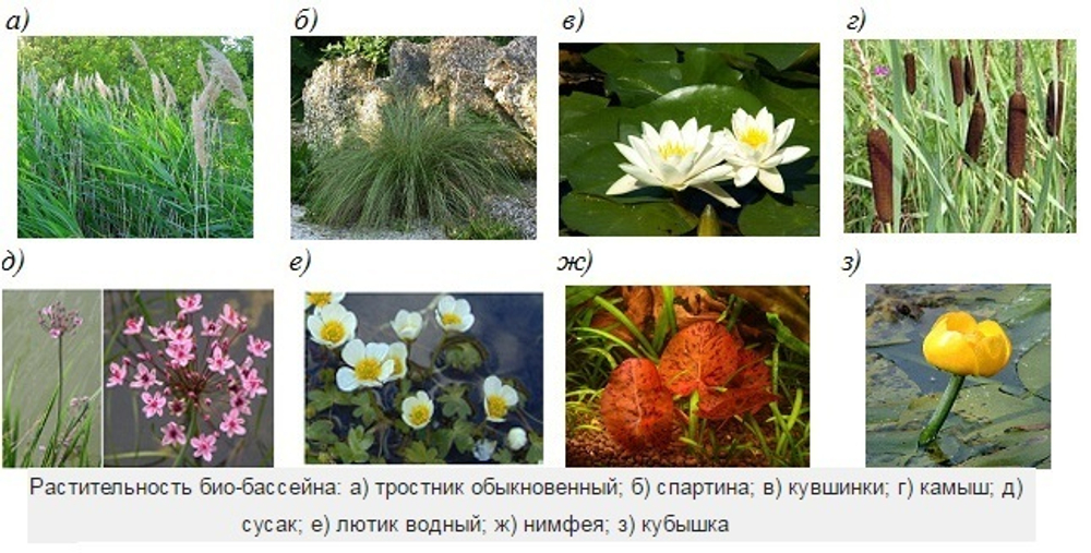 Приусадебные постройки: гостевые дома, гаражи, веранды, бассейны, площадки для отдыха