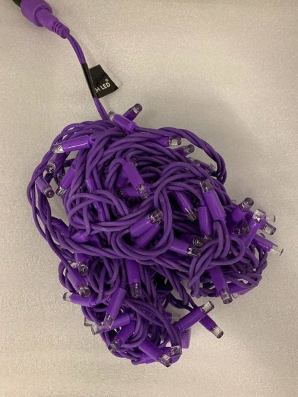 Светодиодная нить на цветном проводе 10 м., 24V, 100 фиолетовых LED ламп, фиолетовый провод, Rich LED (RL-S10C-24V-RV/V)