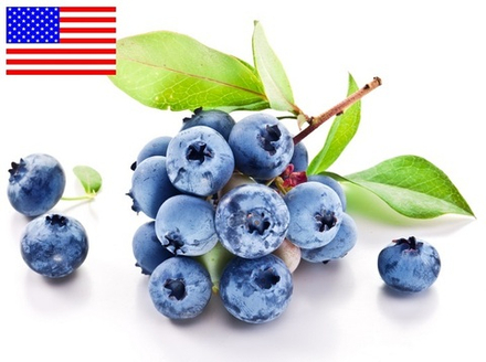 Blueberry Wild | Черника лесная (TPA), ароматизатор пищевой