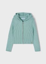 кофта с капюшоном