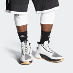 Кроссовки Adidas Harden Vol.5 Futurenatural 5