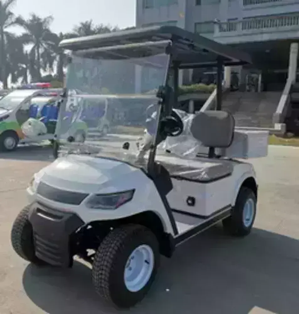 Гольфкар GreenCamel LVTong A2C (2+C, 4kW AC, R10)