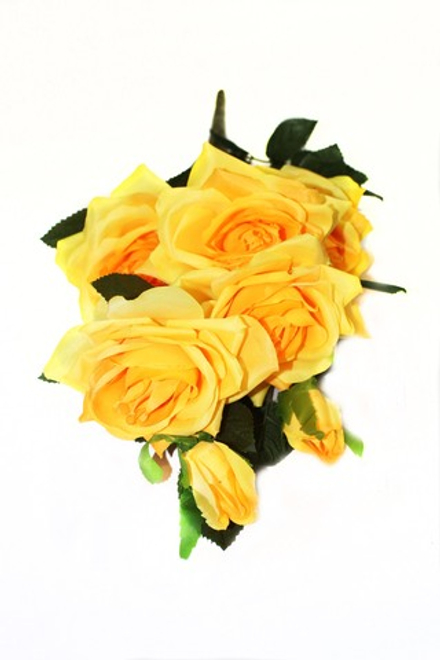 Куст роз 13 веток