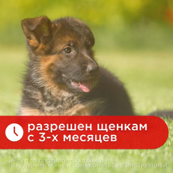 Больфо ошейник от блох и клещей для собак и кошек средних и крупных пород