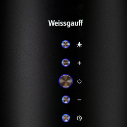 Каминная вытяжка Weissgauff Gracia BL