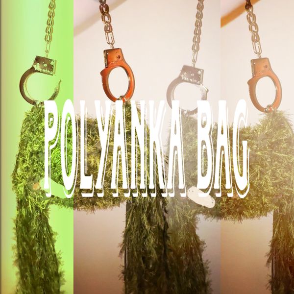 СУМКА ПО МОТИВАМ СЕРИАЛА "ПОСТУЧИСЬ В МОЮ ДВЕРЬ"