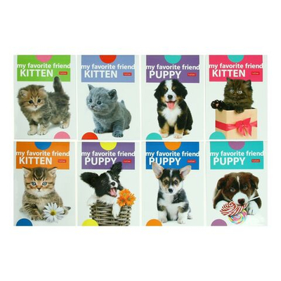 Блокнот А6, 24 листа на скрепке Наши друзья , МИКС