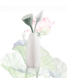 Lotus Purity, ароматический диффузор с необычными палочками, Chando