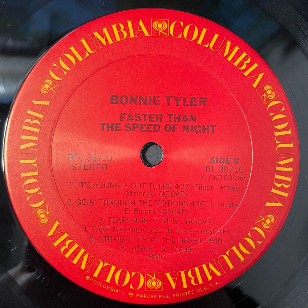Винтажная виниловая пластинка LP Bonnie Tyler, Faster Than The Speed Of Night (США 1983)