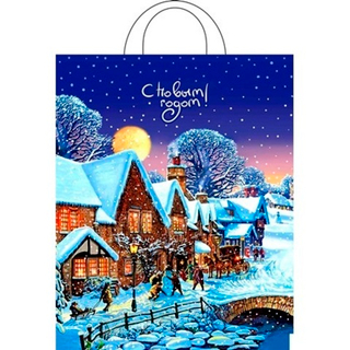 Пакет ПВД с петлевой ручкой 28*35см НГ 55мкм Зимушка 1шт