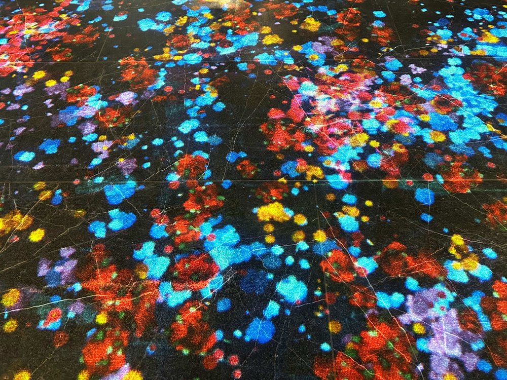 Интерактивный проектор напольный Максимальная комплектация