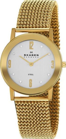 Наручные часы Skagen 39LGG1