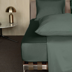 Комплект постельного белья Евро Mollen нефритовый с простыней