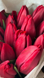 17 тюльпанов в упаковке из фоамирана (выбор цвета)