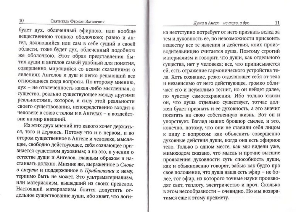 Душа и Ангел. Святитель Феофан Затворник
