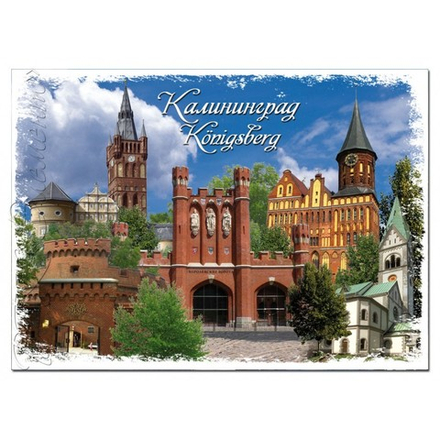 Магнит "Виниловый Большой" на ленте в ассортименте