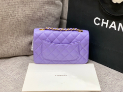 Chanel Bag 20 cm