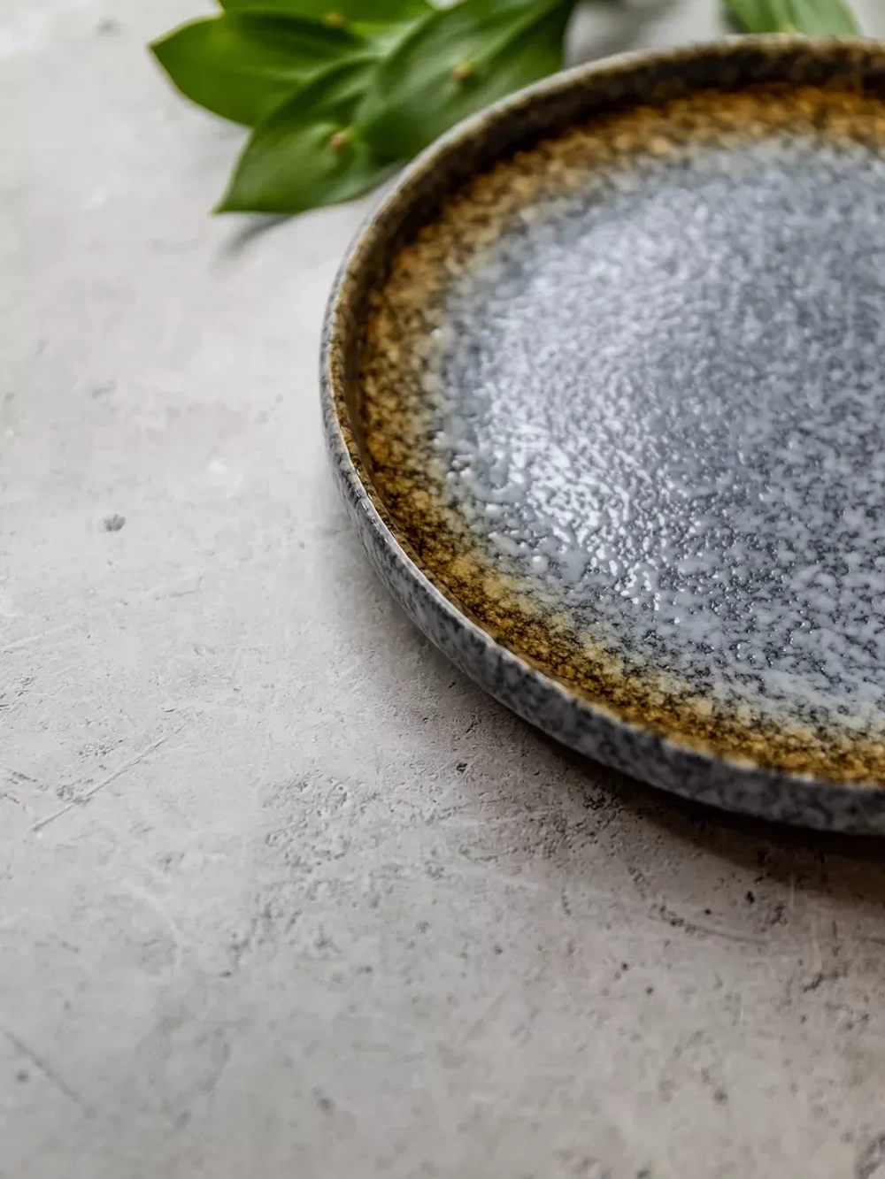 Тарелка с бортиками, Осень, диаметр 25,3 см - 6 шт