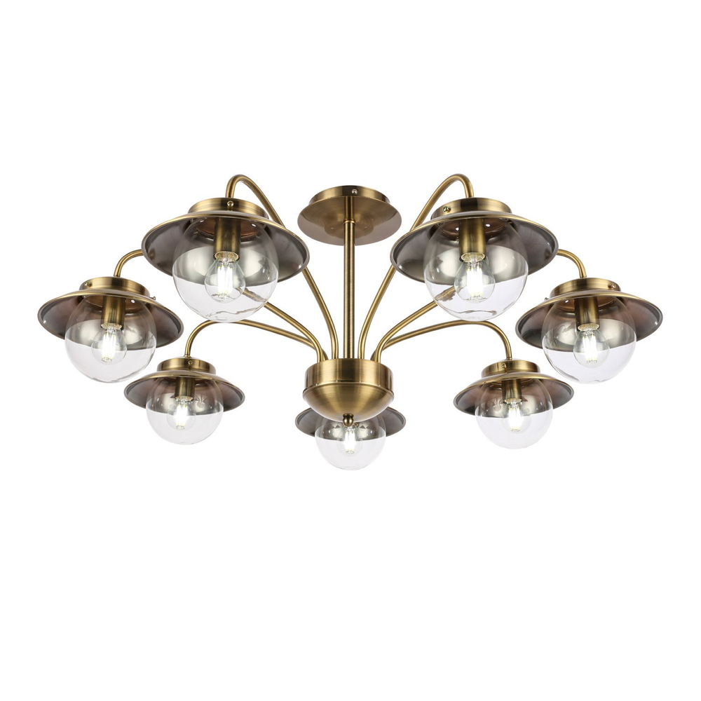 Светильник потолочный Evoluce Garonni SLE110102-07