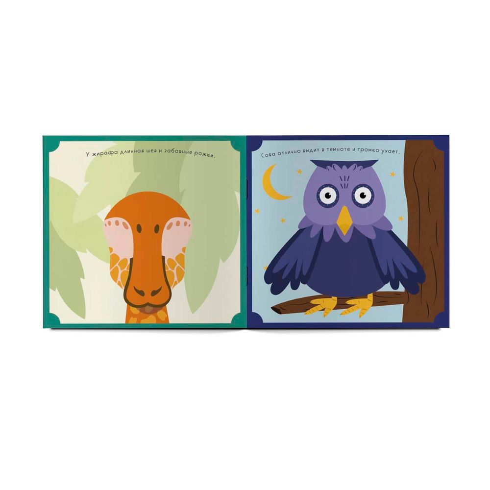 Альбомная книжка с наклейками. 100 веселых наклеек: Веселый зоопарк