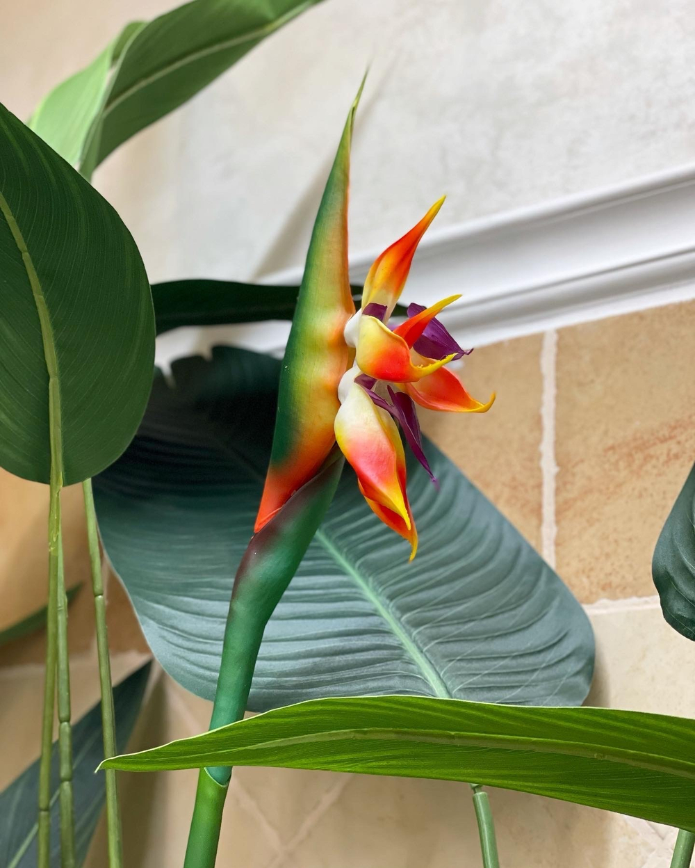 Озеленение искусственными стрелициями и ампельными растениями кафе в супермаркете "Табрис"  г.Краснодар