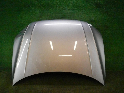 Капот VW Tiguan 2 (2016-2020)