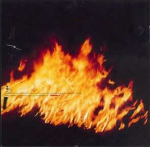 Pantera / Reinventing The Steel (LP)