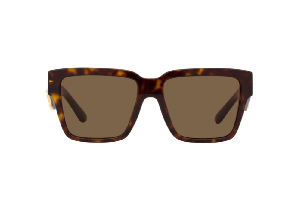 Dolce & Gabbana DG4436 502/73