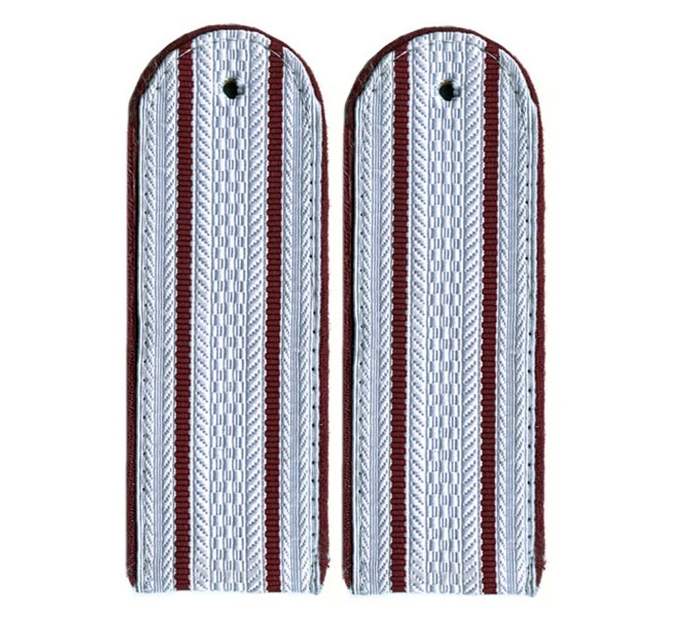 Погоны ФСИН серые с краповым кантом и двумя краповыми просветами (на рубашку)