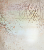 Обои с узором из линий 19501