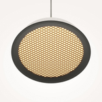 Подвесной светильник Maytoni MOD041PL-L15WG3K