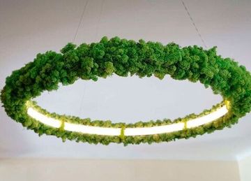 Светодиодный  обьемный светильник  Altavolta -  Inside Ring Green со мxом.