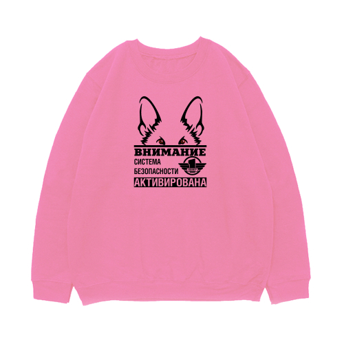 Свитшот "Система безопасности"