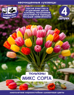 Тюльпан Луковицы неочищенные, Микс сортов, 4 шт+