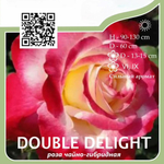 Роза чайно-гибридная "Double Delight"