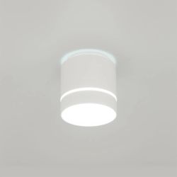 Citilux Борн CL745020N LED Светильник накладной Белый