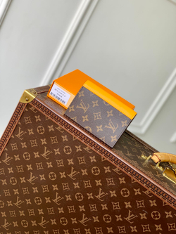 Louis Vuitton Passport Cover