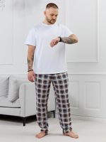 Брюки мужские Тор-1.1 Виотекс КЛЕТКА РАЗНОЦВЕТНАЯ