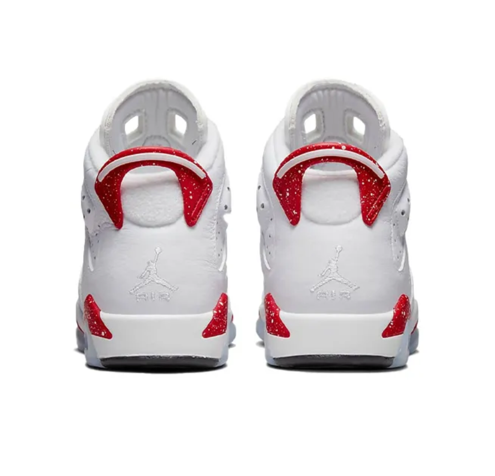 Air Jordan 6 retro